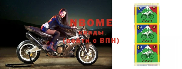 дурь Инсар