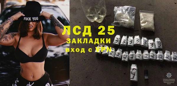 дурь Инсар