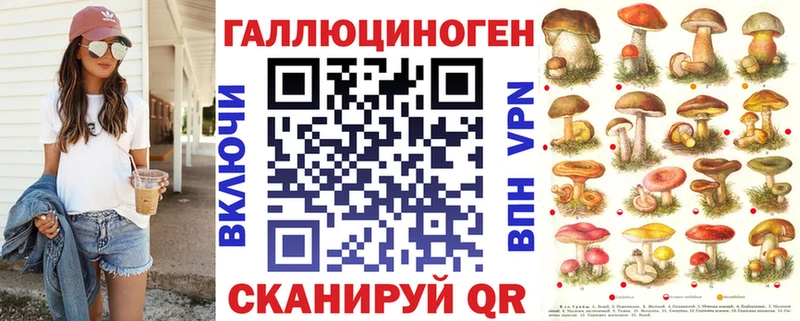 Купить где Руза Псилоцибиновые грибы Cubensis